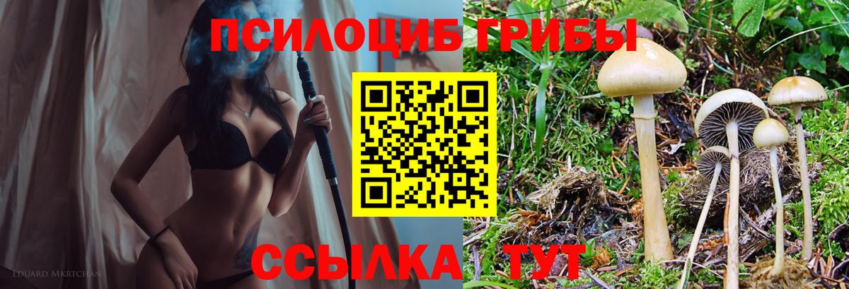 Галлюциногенные грибы GOLDEN TEACHER  Вход с VPN  Томск  Галлюциногенные грибы Psilocybe 